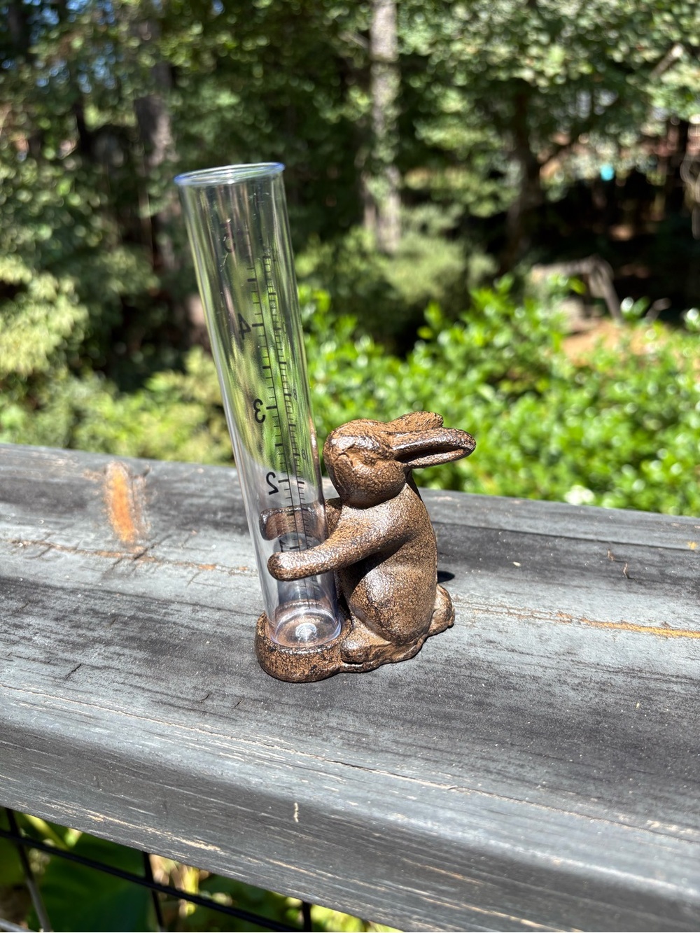 Cast Iron Rabbit Rain Gauge - Picture 4 of 6